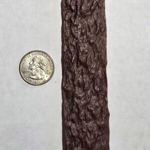 Brown textured strip beside a coin.
