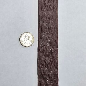 Brown textured strip beside a coin.