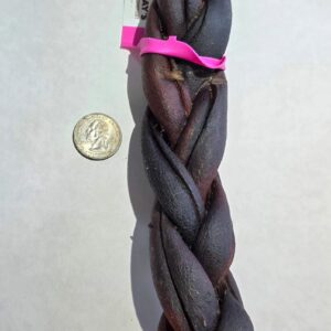 Braided dried sausage with coin for scale.