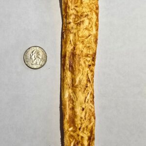 Dog chew beside a quarter coin.