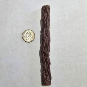 Quarter and beef stick on white background.