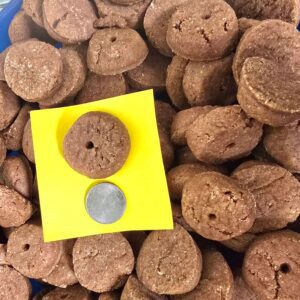 Brown cookies with a coin for scale.