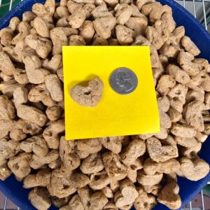 Heart-shaped kibble with a coin for scale.