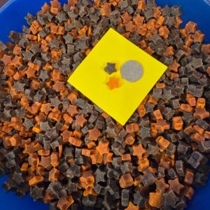 Star-shaped treats with coin for scale.