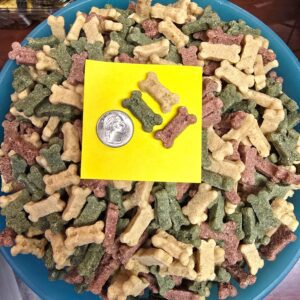 Colorful dog treats with a coin comparison.