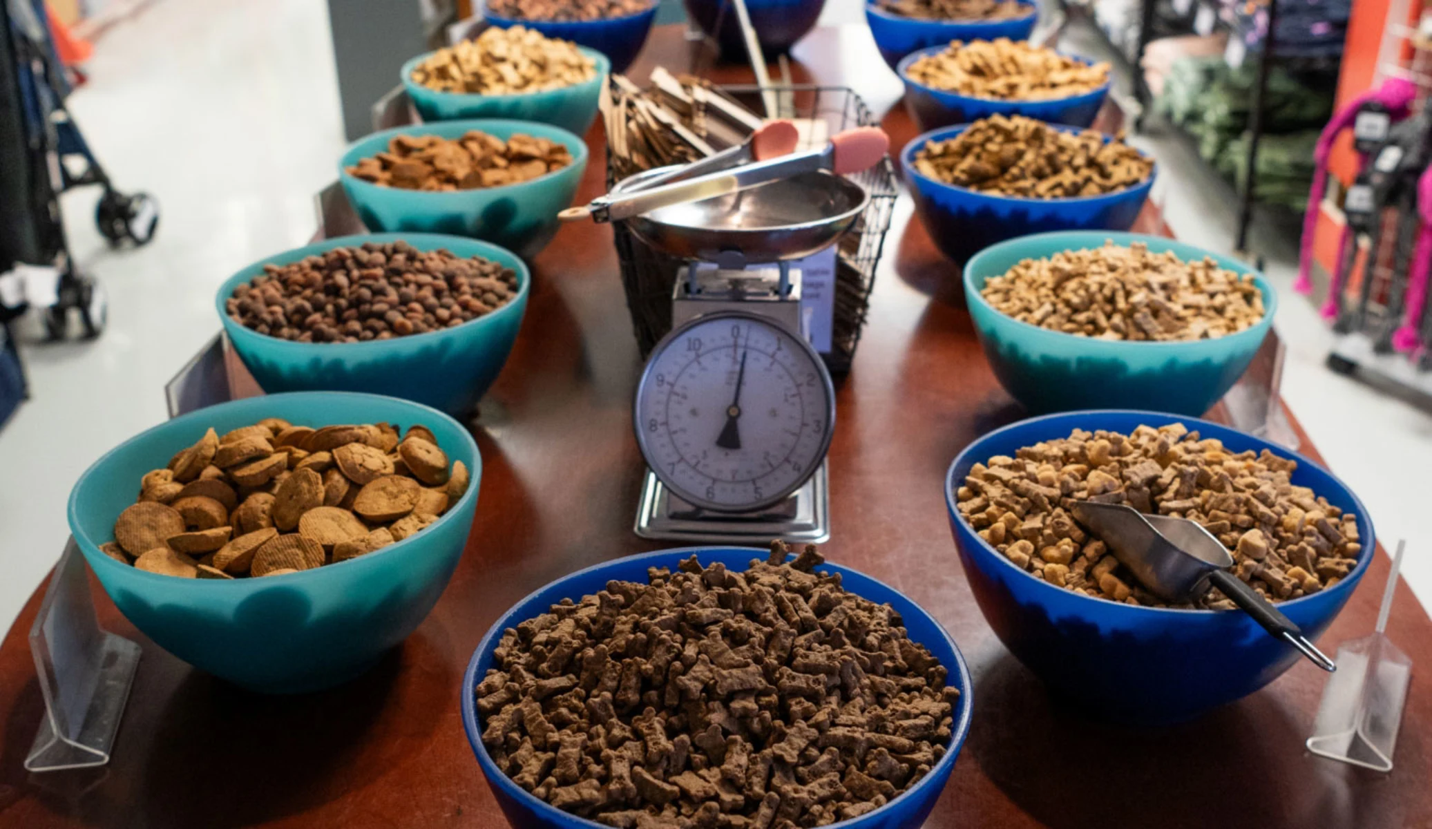 Bowls of assorted dog treats on table.
