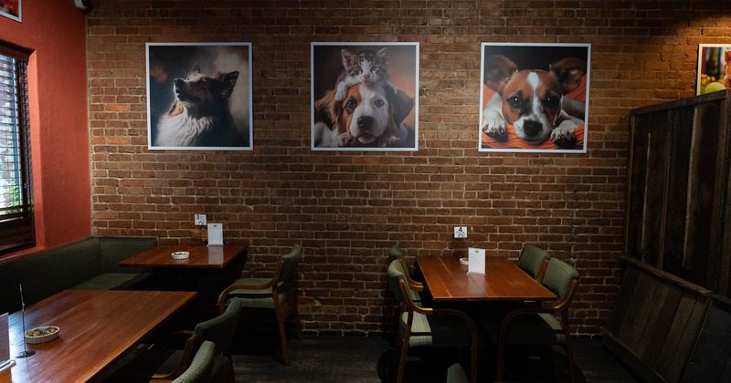 Cafe interior with dog photos on wall.