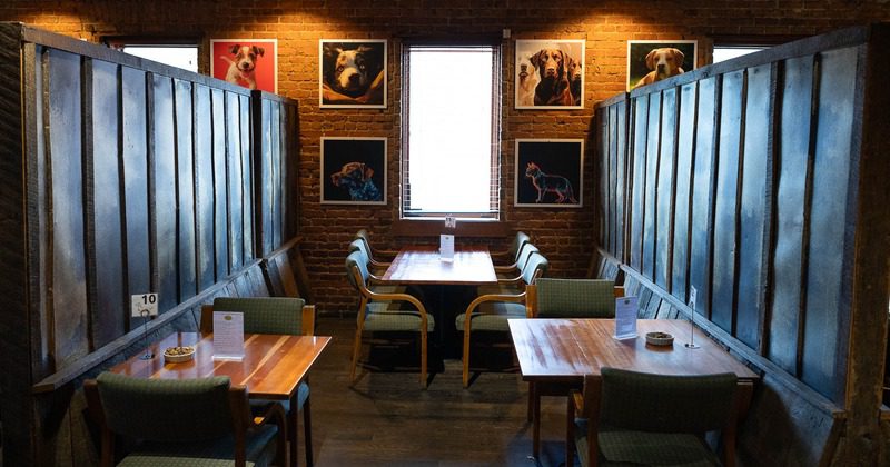 Cozy café seating area with dog photos.