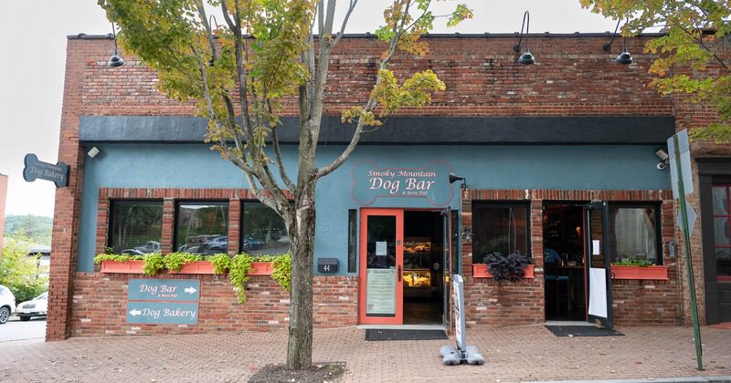 Brick building with "Dog Bar" sign.