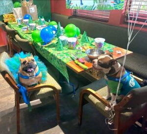 Dog Birthday Party